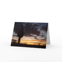 Saguaro Sunset IIIアリゾナ砂漠の風景