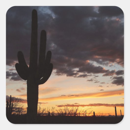 Saguaro Sunset IIIアリゾナ砂漠の風景 スクエアシール (正面)