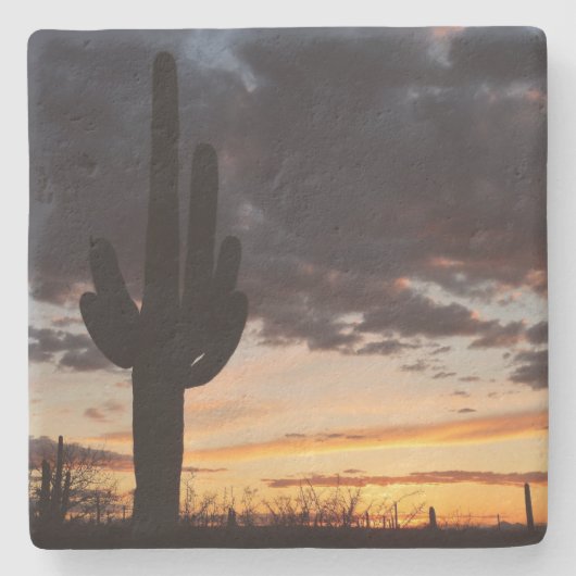 Saguaro Sunset IIIアリゾナ砂漠の風景 ストーンコースター (正面)