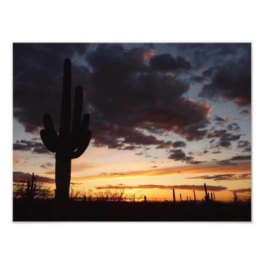 Saguaro Sunset IIIアリゾナ砂漠の風景 フォトプリント (正面)