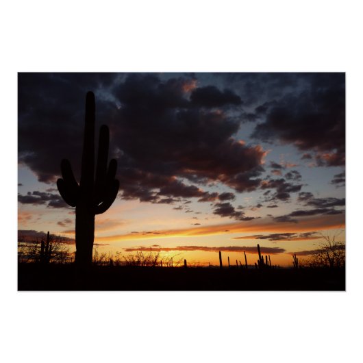 Saguaro Sunset IIIアリゾナ砂漠の風景 ポスター (正面)