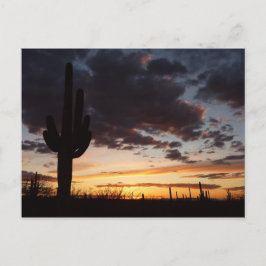 Saguaro Sunset IIIアリゾナ砂漠の風景 ポストカード