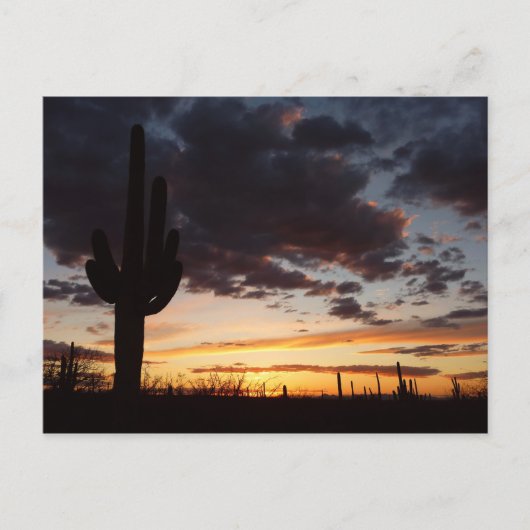 Saguaro Sunset IIIアリゾナ砂漠の風景 ポストカード (正面)