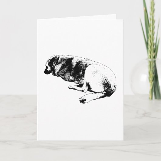 Said Without Words カード (正面)