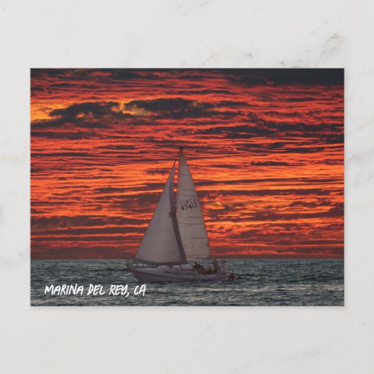 Sailboat at Sunset - Marina Del Rey, CA ポストカード (正面)