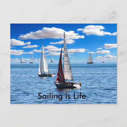 Sailing is Lifeはがき ポストカード (正面)