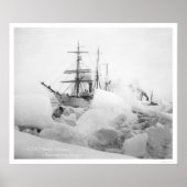 Sailing Ships Nome, Alaska 1904 ポスター (正面)