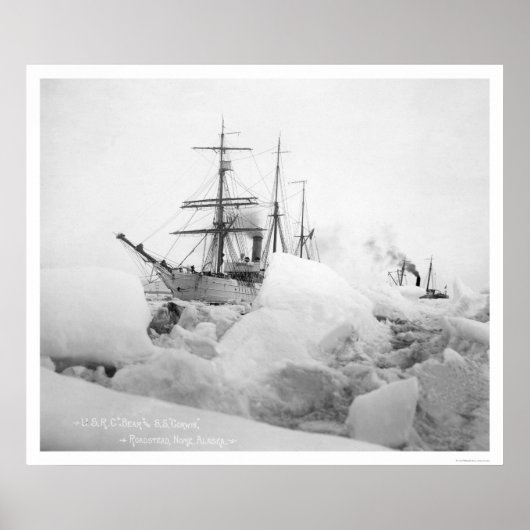 Sailing Ships Nome, Alaska 1904 ポスター (正面)
