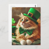 Saint patricks day猫 ポストカード (正面/裏面)
