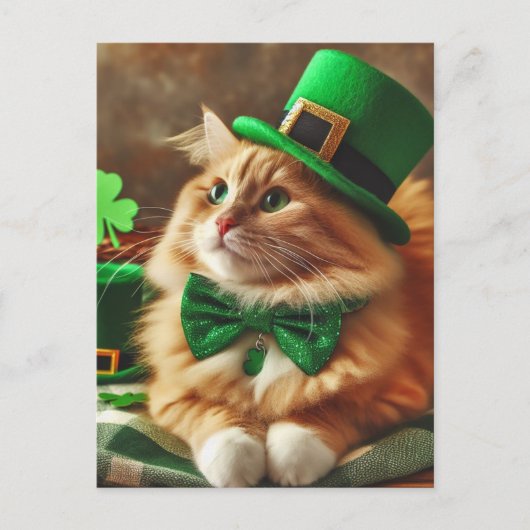 Saint patricks day猫 ポストカード (正面)