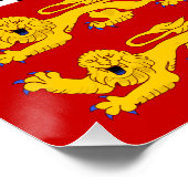 Saint Pierre and Miquelon Flag ポスター (コーナー)