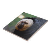 Saki直面された猿を青ざめさせて下さい タイル (側面)