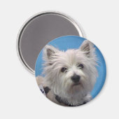 Sal マグネット (正面/裏面)