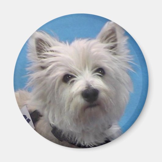 Sal マグネット (正面)