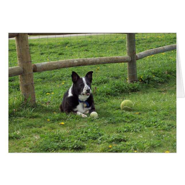 Sal_portrait2 (正面横)