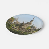 Sala Keo Kou、Nong Khai、タイ ペーパープレート (アングル)