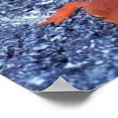 Salamander ポスター (角)