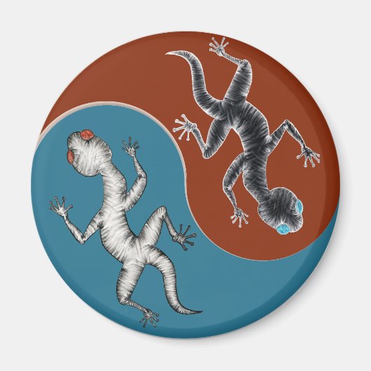 Salamander マグネット (正面)