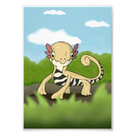 Salamandra フォトプリント