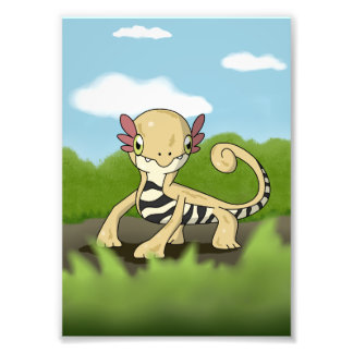 Salamandra フォトプリント