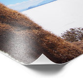 Salar de Uyuniの写真プリントに巨大なサボテン フォトプリント (角)