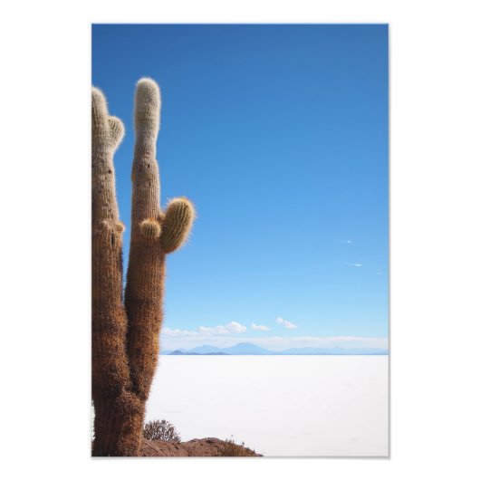 Salar de Uyuniの写真プリントに巨大なサボテン フォトプリント (正面)