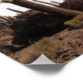 Salar de Uyuniポスタープリントの巨大サボテン ポスター (角)