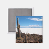 Salar de Uyuni磁石の巨大なサボテン マグネット (正面/裏面)
