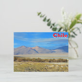 Salar del Huasco、チリ・カード (スタンド正面)