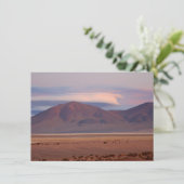 Salar del Huasco、チリ・カード (スタンド正面)