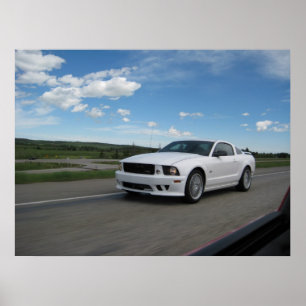 Saleenの白いムスタング ポスター