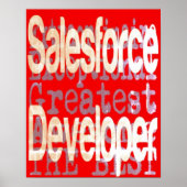 Salesforce Developer Extraordinaireポスター ポスター (正面)