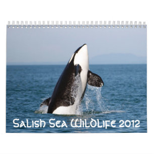 Salishの海の野性生物2012年 カレンダー