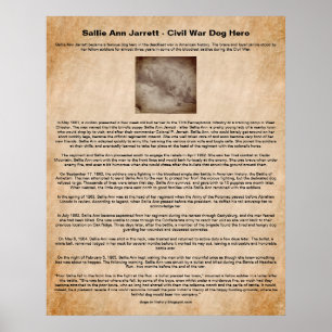 Sallie Ann Jarlett、南北戦争の犬の英雄 ポスター
