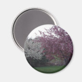 Sally_053磁石に敬意を表して マグネット (正面/裏面)