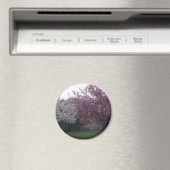 Sally_053磁石に敬意を表して マグネット (インサイチュ (食洗機))