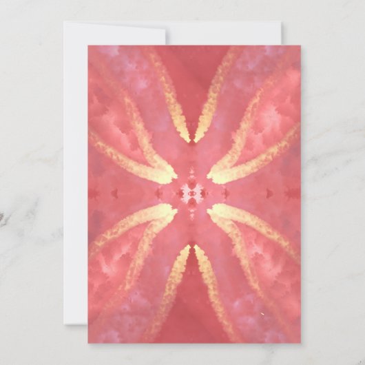 salmon winter christmas wish sunburtst mandala カード (裏面)