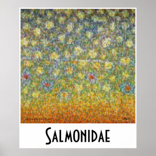 Salmonidaeスキンズモンタージュ切手 ポスター