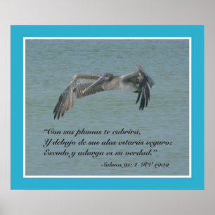 Salmos 91:4 con Pelicano Volando (Cartel) ポスター
