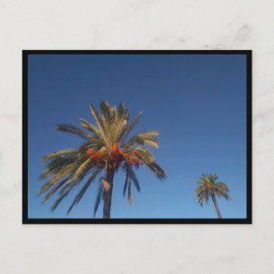 Salobrena, Andalusia (スペイン) ポストカード