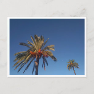 Salobrena, Andalusia (スペイン) ポストカード