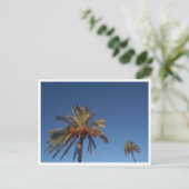 Salobrena, Andalusia （スペイン） ポストカード (スタンド正面)