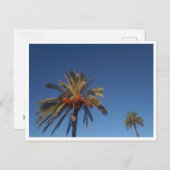 Salobrena, Andalusia （スペイン） ポストカード (正面/裏面)