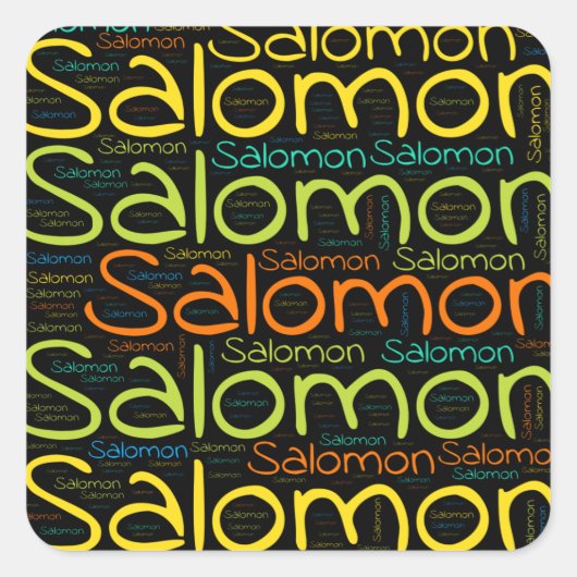 Salomon スクエアシール (正面)