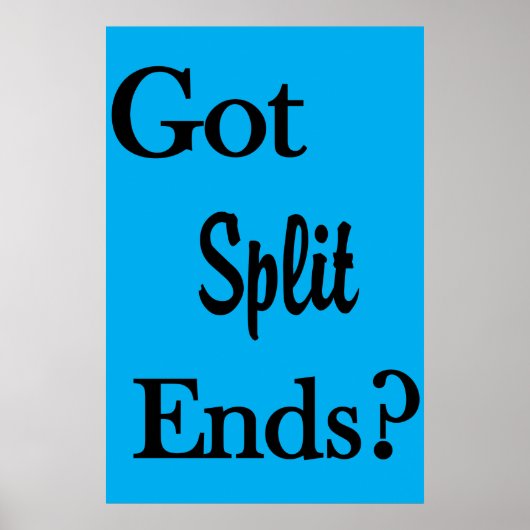 Salon Barbershop Posters Got Split Ends? ポスター (正面)