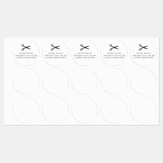 Salon Business Promotional ラベル (シート)
