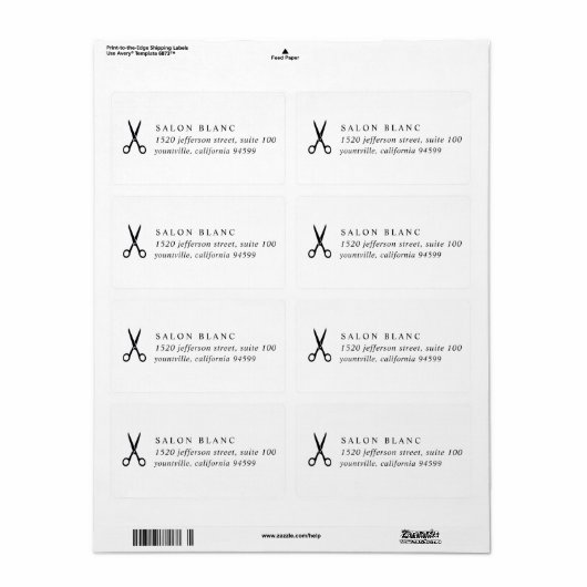 Salon Business Promotional ラベル (フルシート)