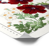 Salpiglossis、Matricaria by Tanigami Kona ポスター (角)