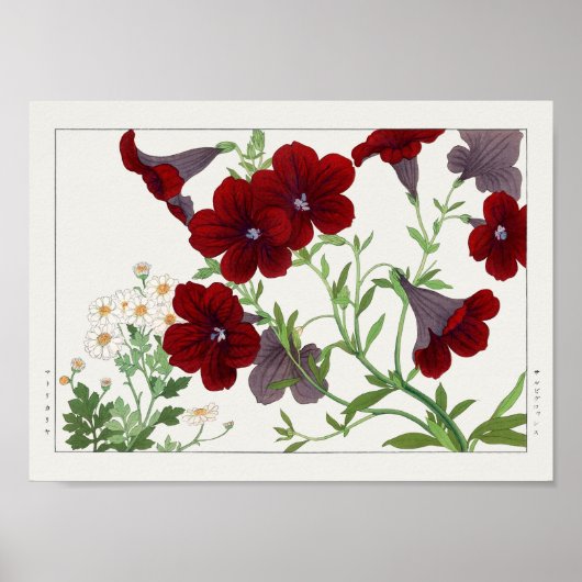 Salpiglossis、Matricaria by Tanigami Kona ポスター (正面)