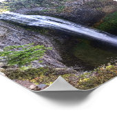 Salt Creek秋、または ポスター (角)